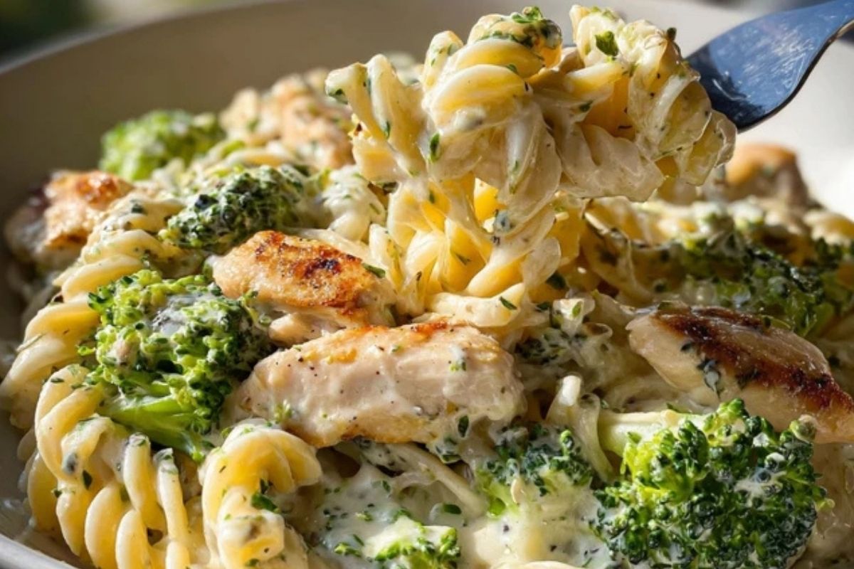 Creamy Chicken Broccoli Alfredo Pasta