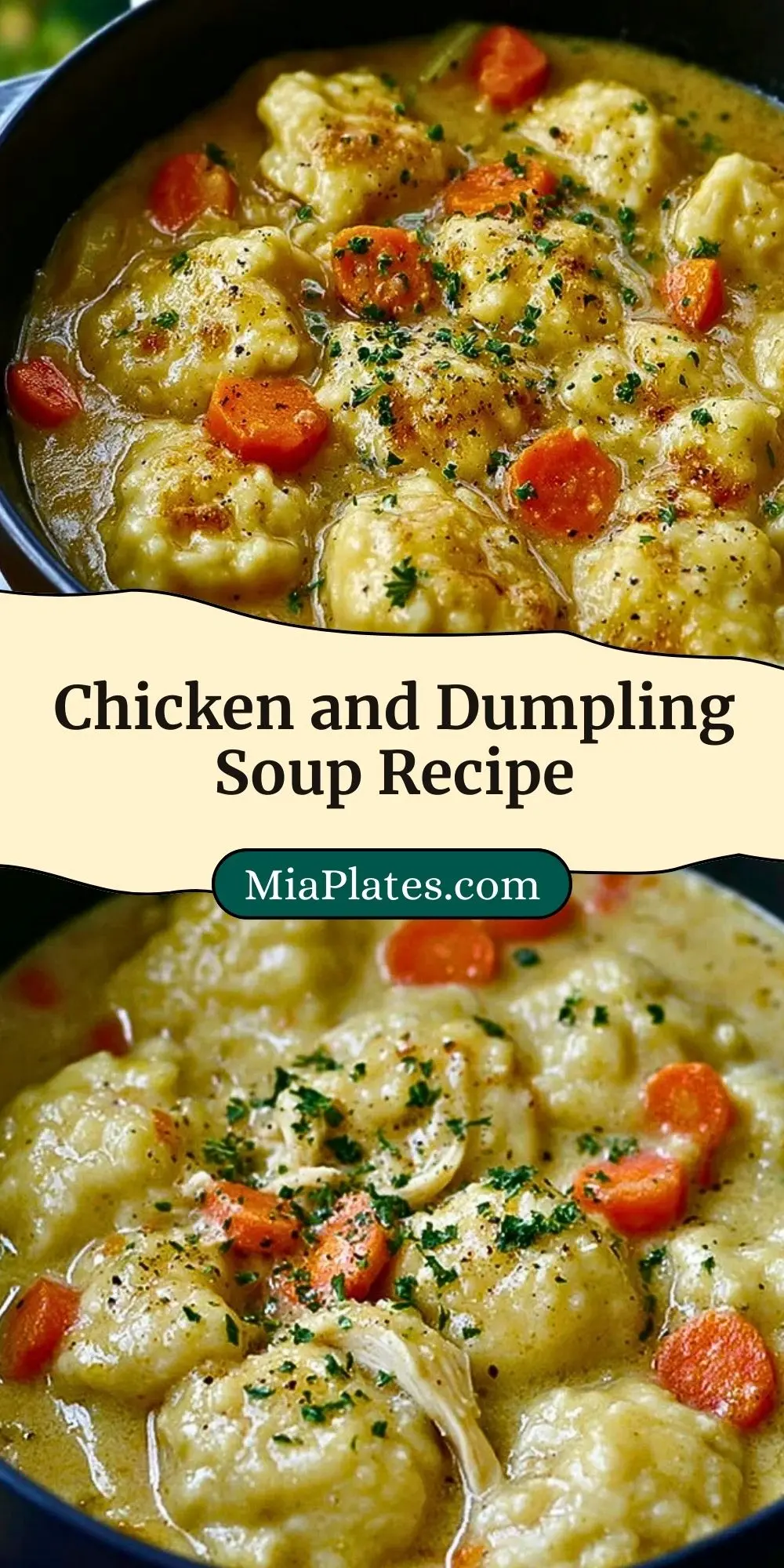 Chicken and Dumpling Soup Recipe Pin 2
