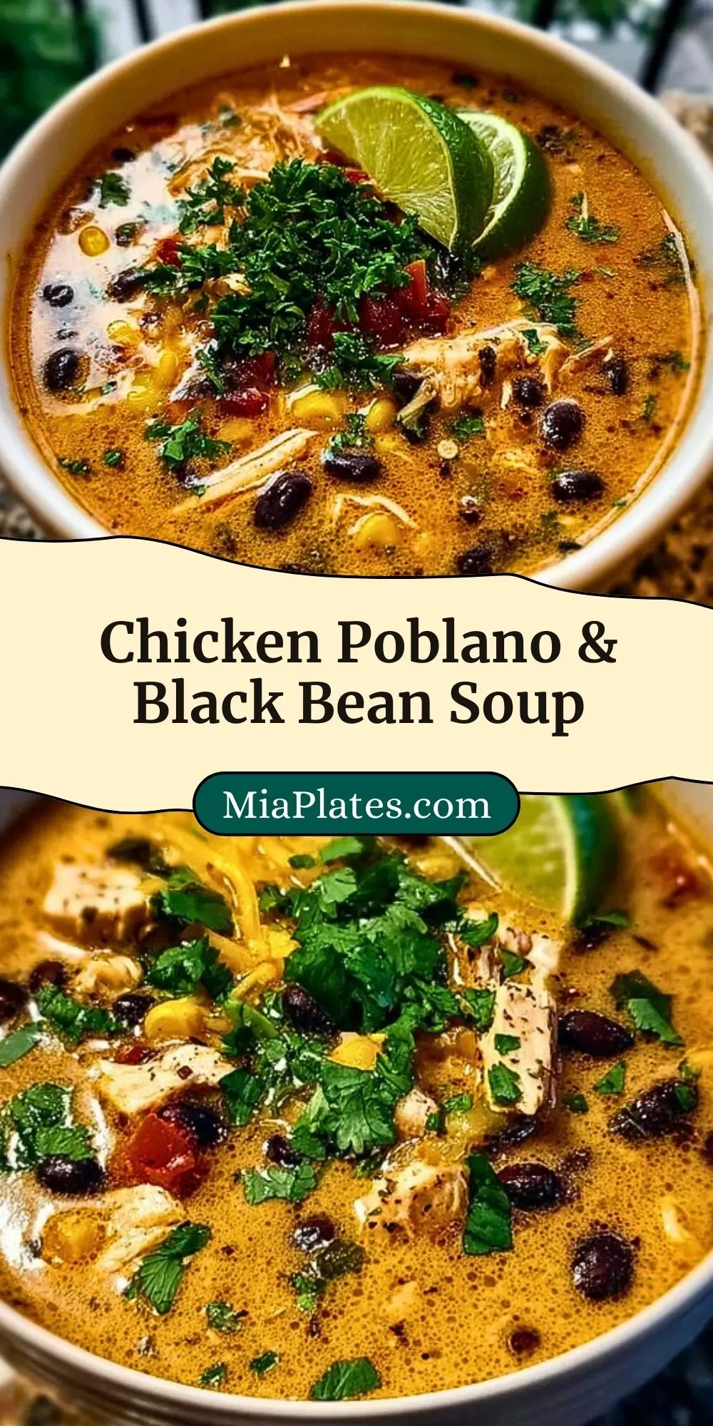 Chicken Poblano & Black Bean Soup Pin 2