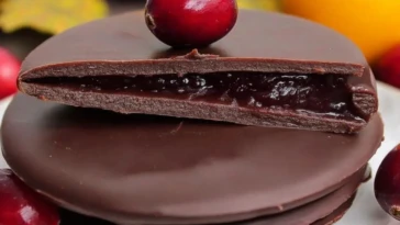 Chocolate Covered Cranberry Sauce 1