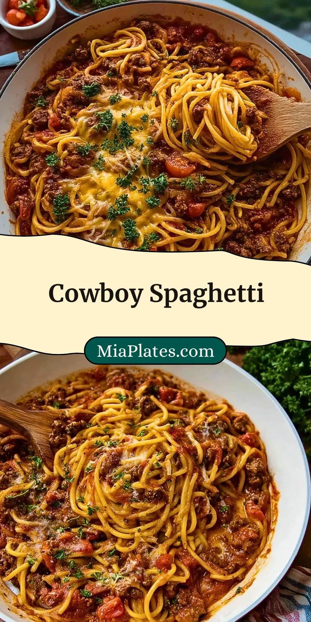 Cowboy Spaghetti Pin 2