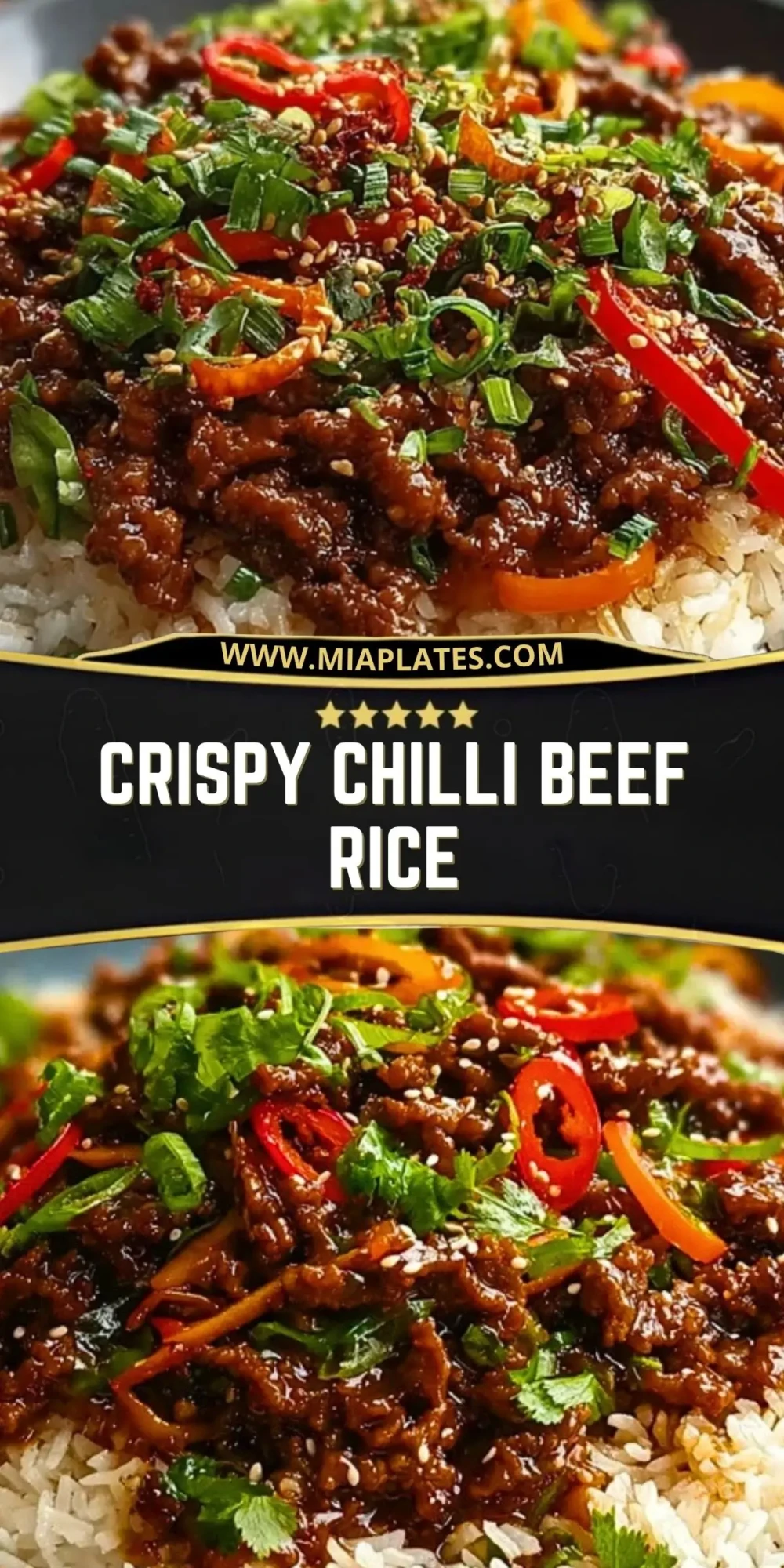 Crispy Chilli Beef Rice Pin 1