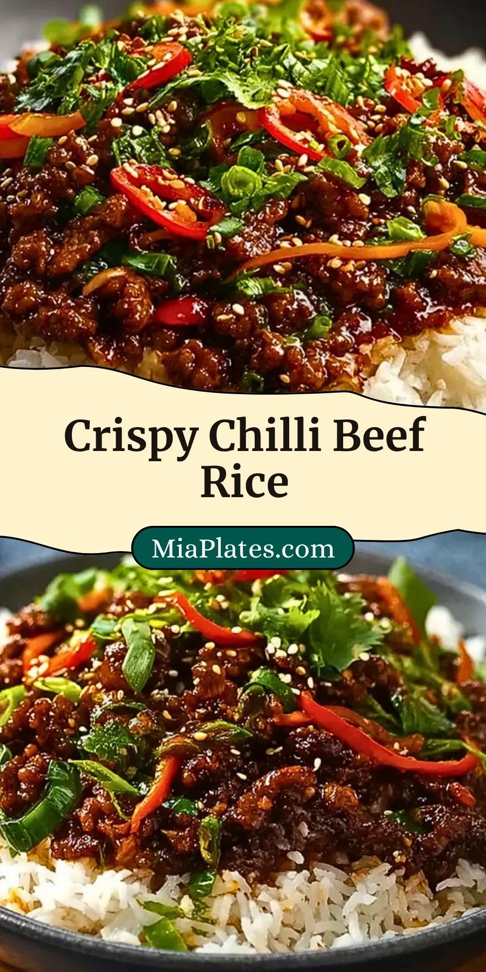 Crispy Chilli Beef Rice Pin 2