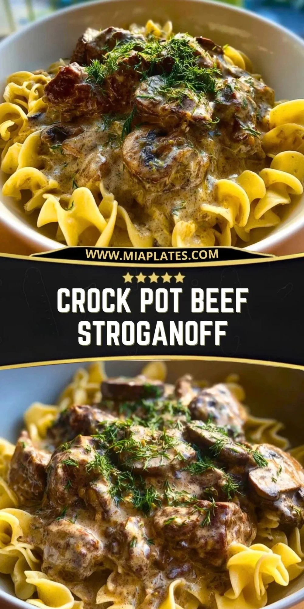 Crock Pot Beef Stroganoff (2)