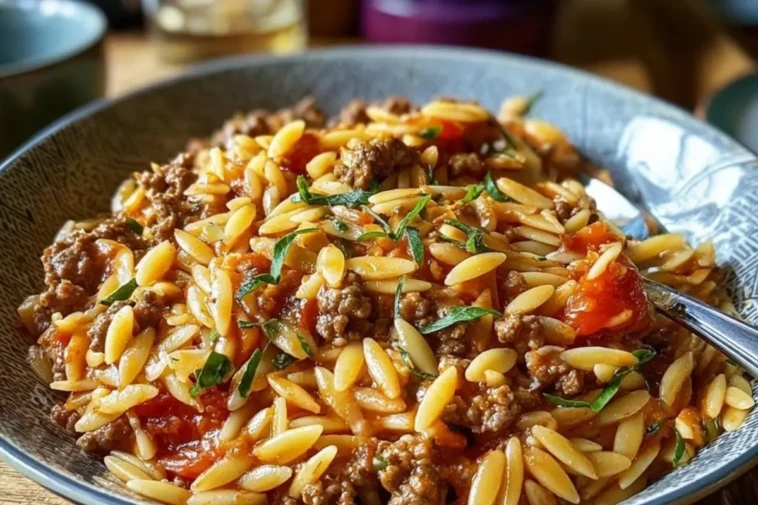 Delicious Ground Beef Orzo 1