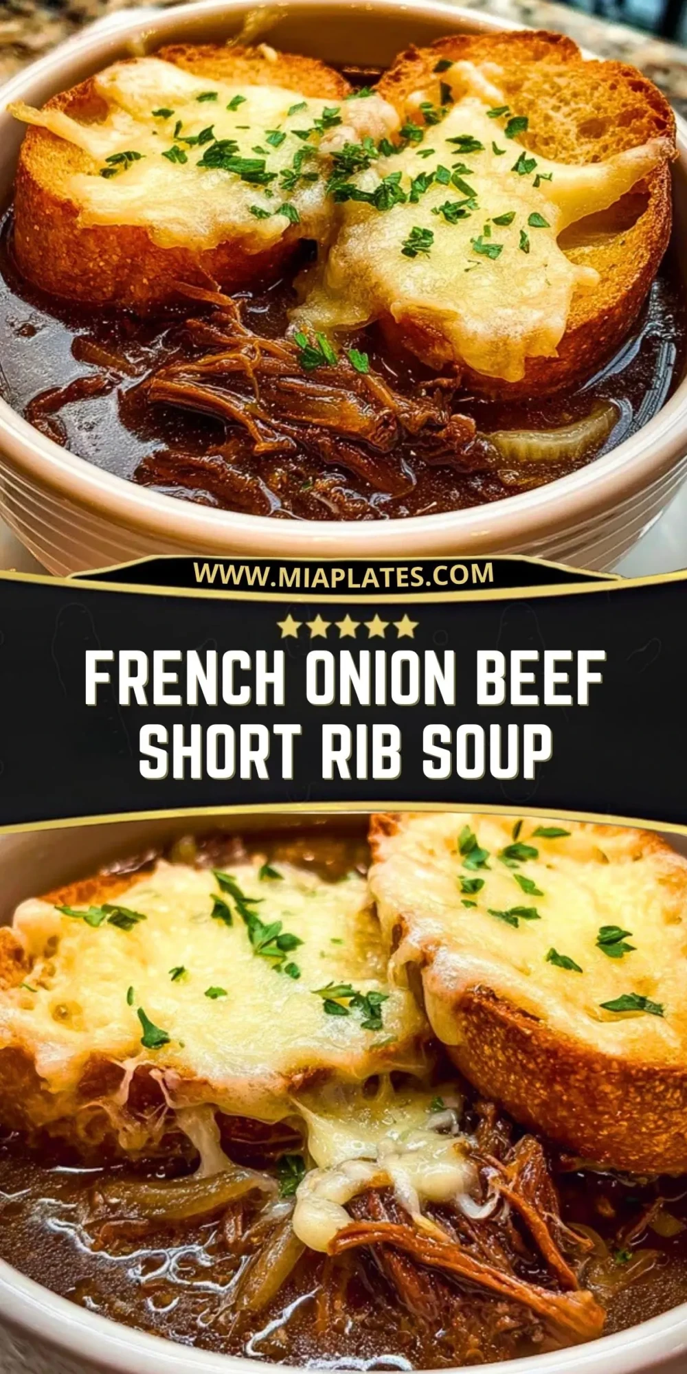 French Onion Beef Short Rib Soup (2)