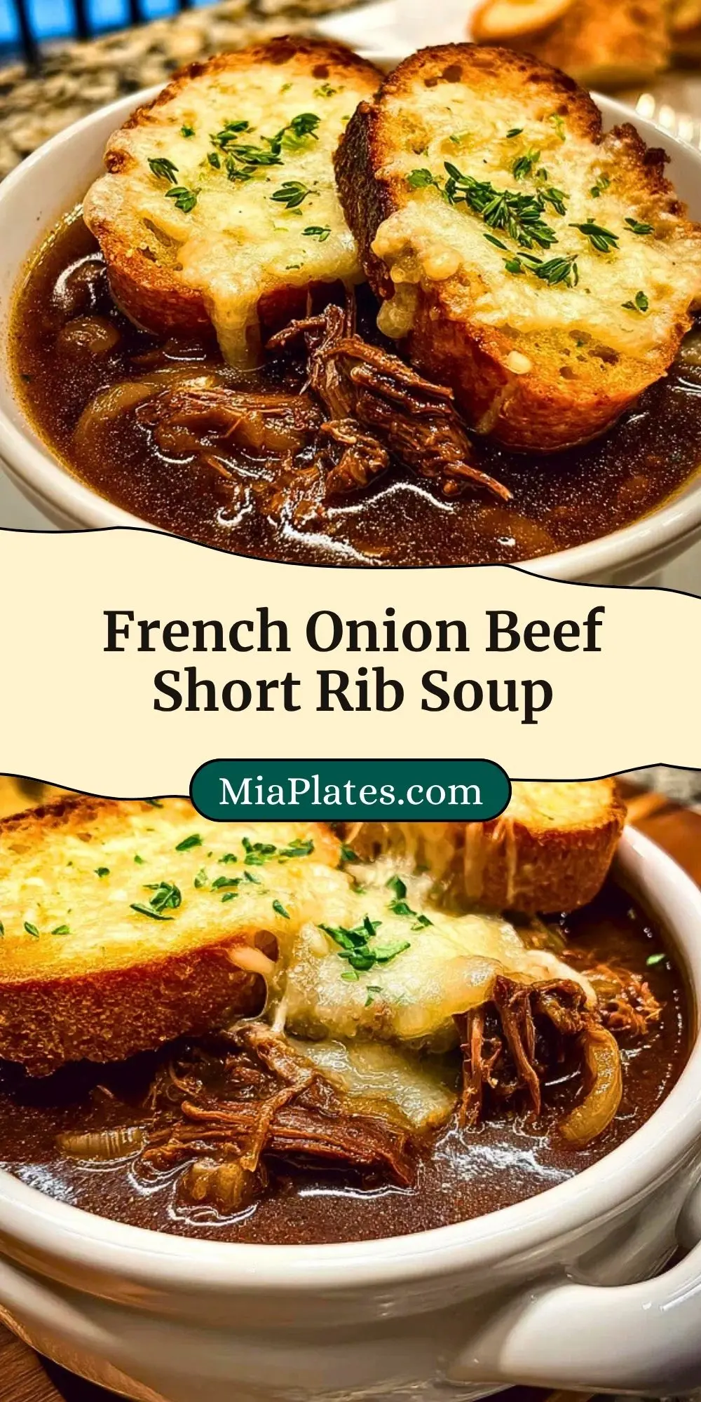 French Onion Beef Short Rib Soup (3)