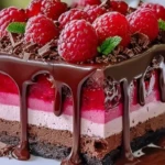 Heavenly Raspberry Chocolate Mousse Cake 1