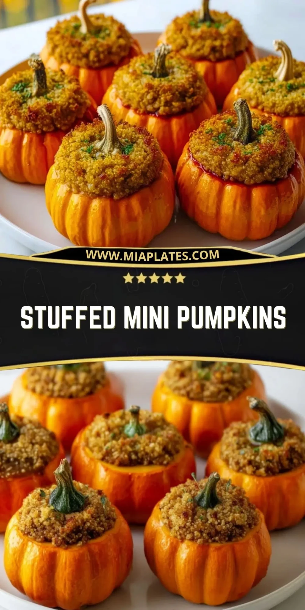 Stuffed Mini Pumpkins Pin 1