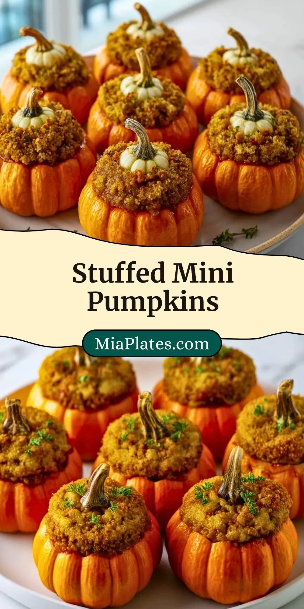 Stuffed Mini Pumpkins Pin 2