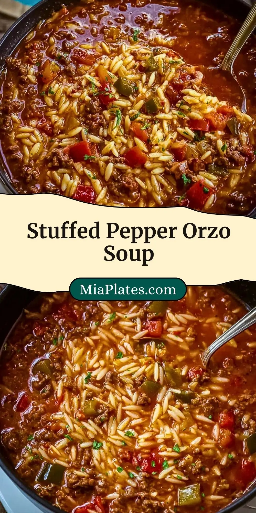 Stuffed Pepper Orzo Soup (2)
