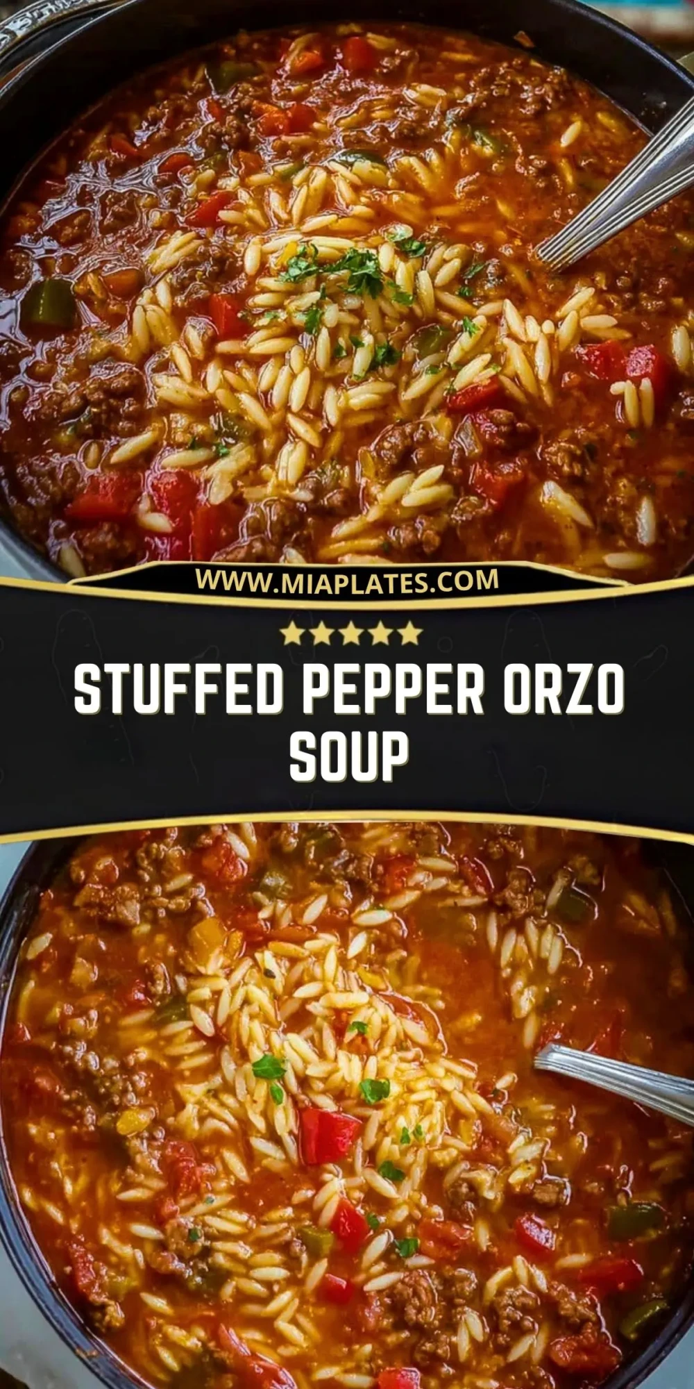 Stuffed Pepper Orzo Soup (3)