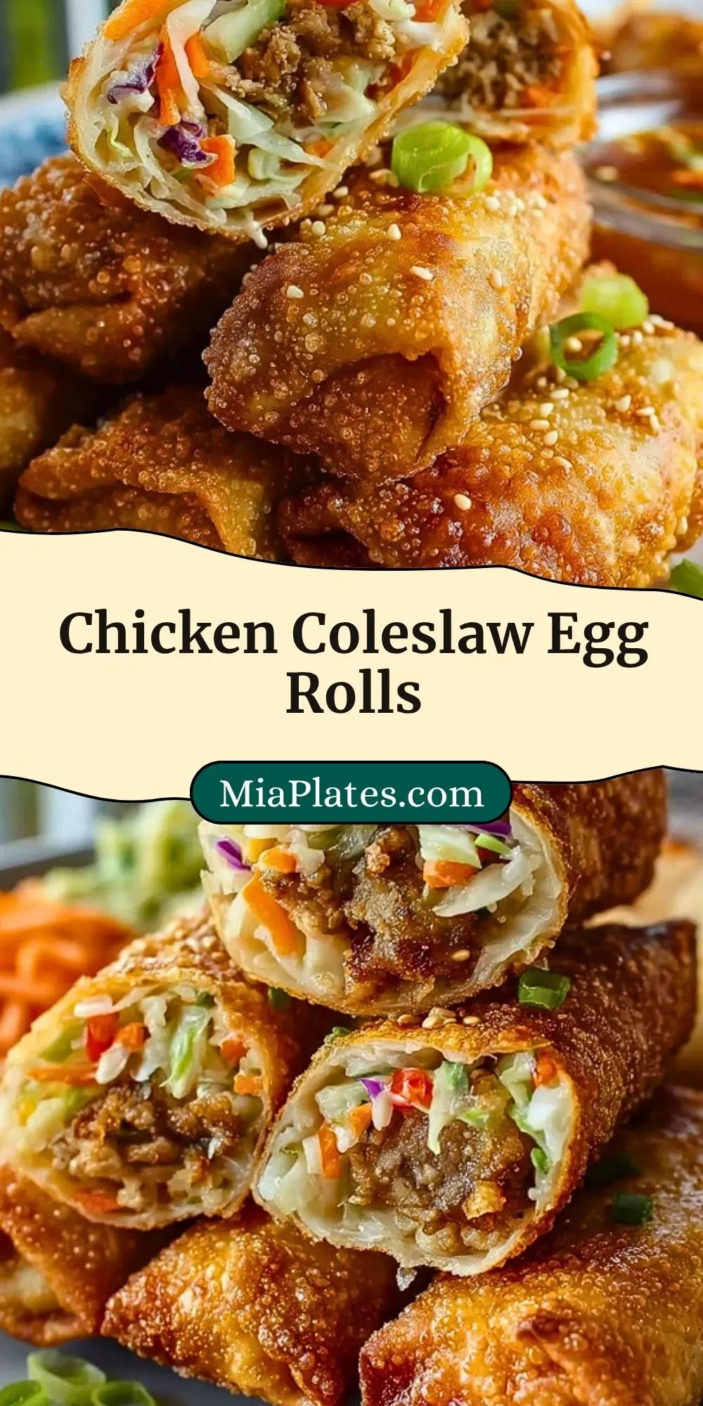 Chicken Coleslaw Egg Rolls (3)