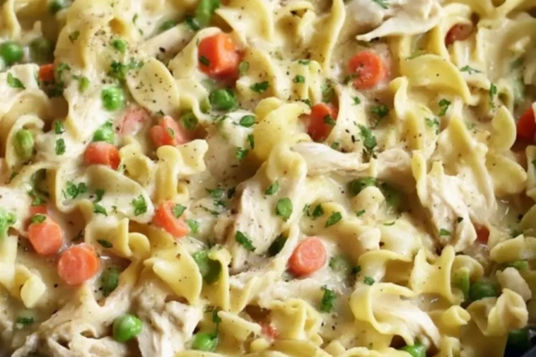 Chicken Pot Pie Noodles