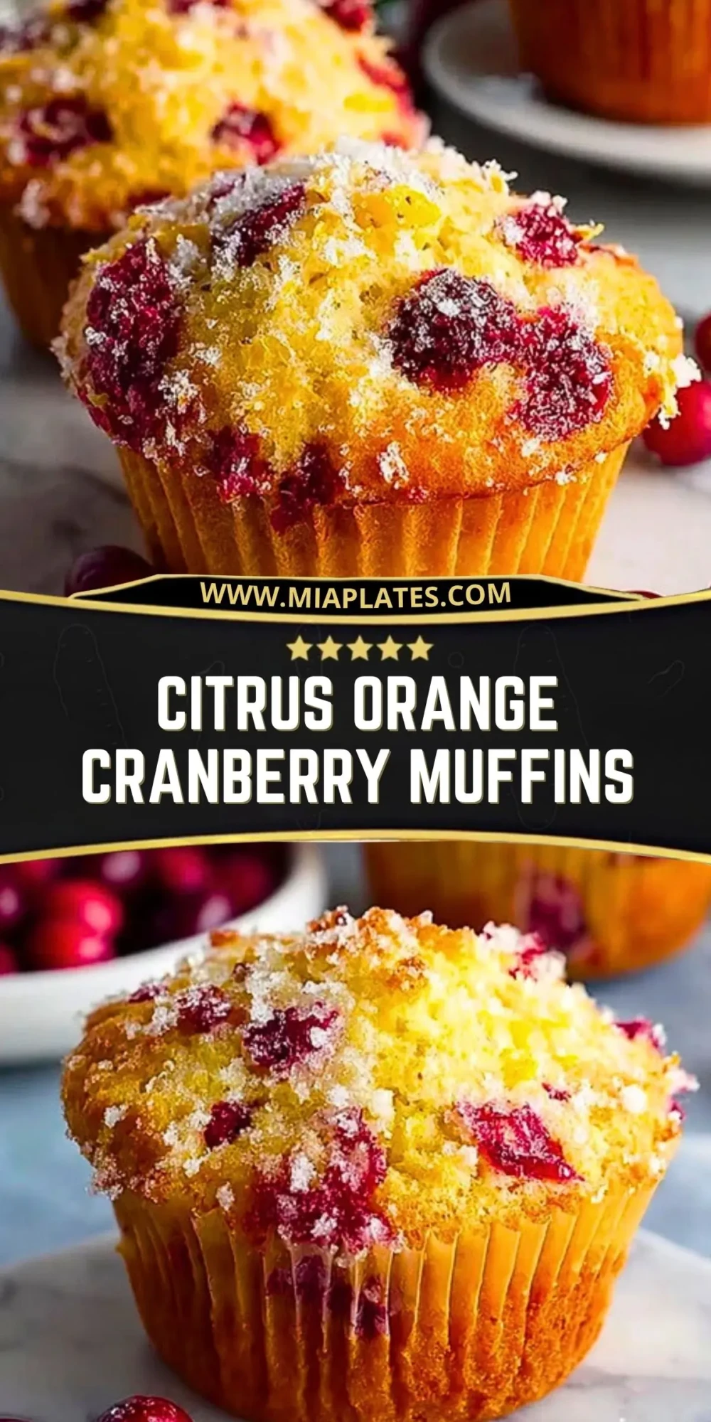 Citrus Orange Cranberry Muffins (2)