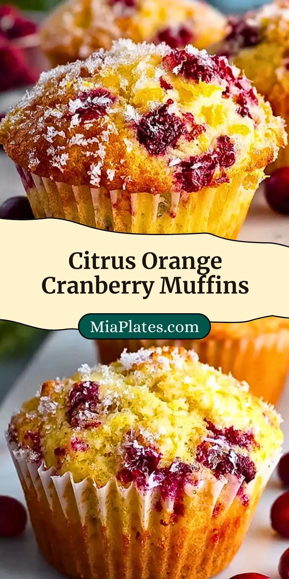 Citrus Orange Cranberry Muffins (3)