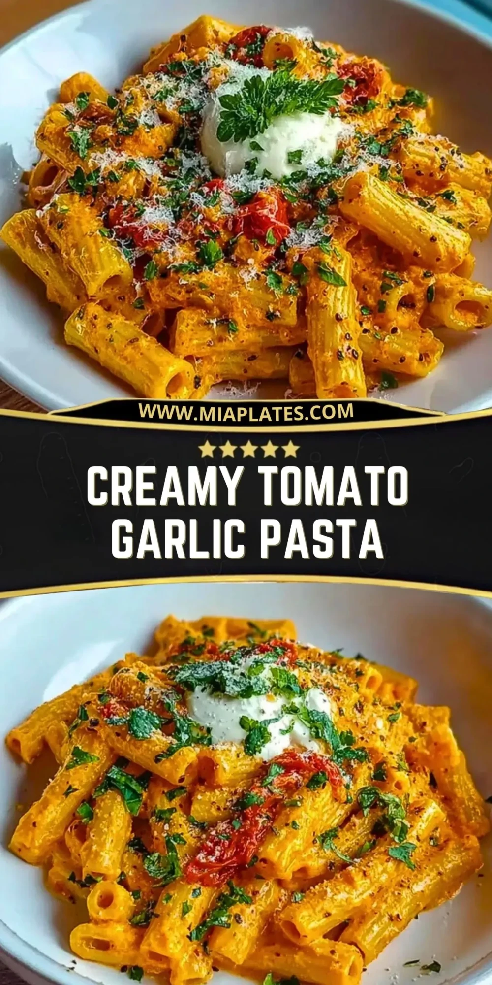 Creamy Tomato Garlic Pasta (2)