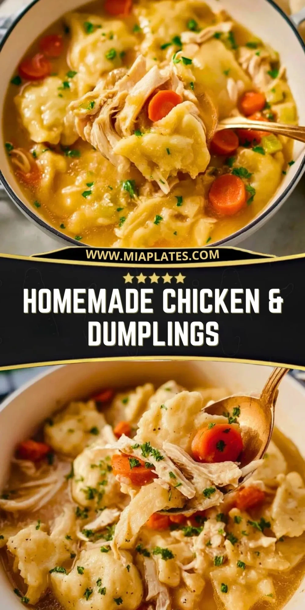 Homemade Chicken & Dumplings (2)