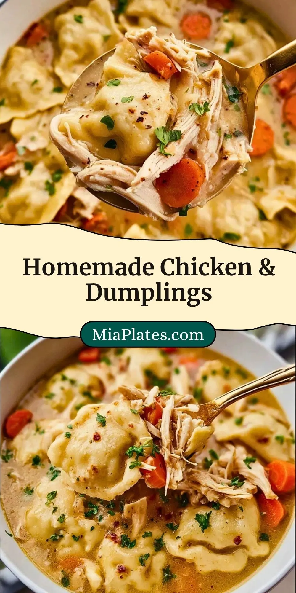 Homemade Chicken & Dumplings (3)