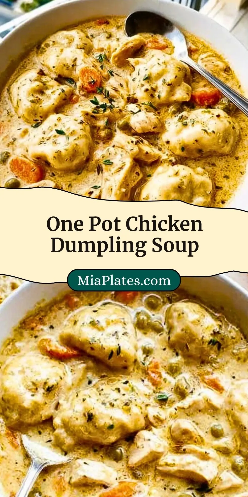 One Pot Chicken Dumpling Soup Pin 2