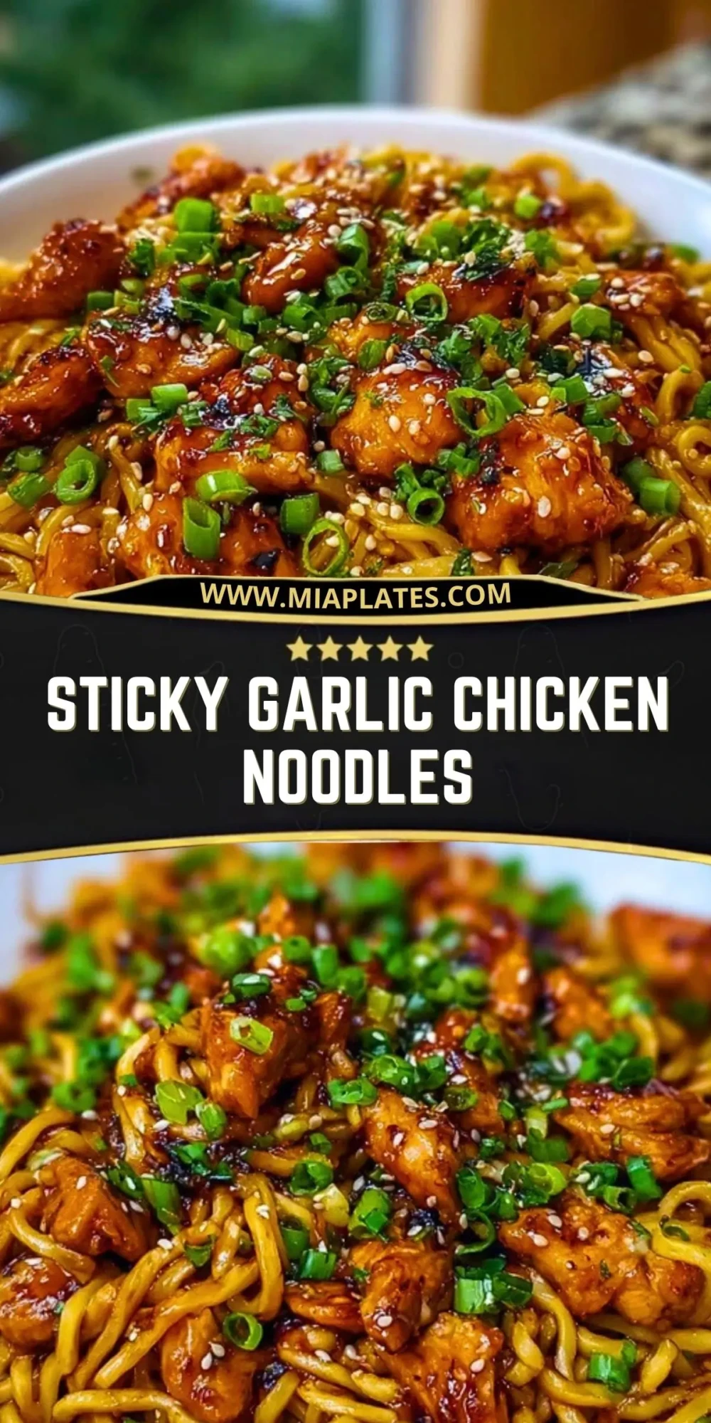 Sticky Garlic Chicken Noodles (2)