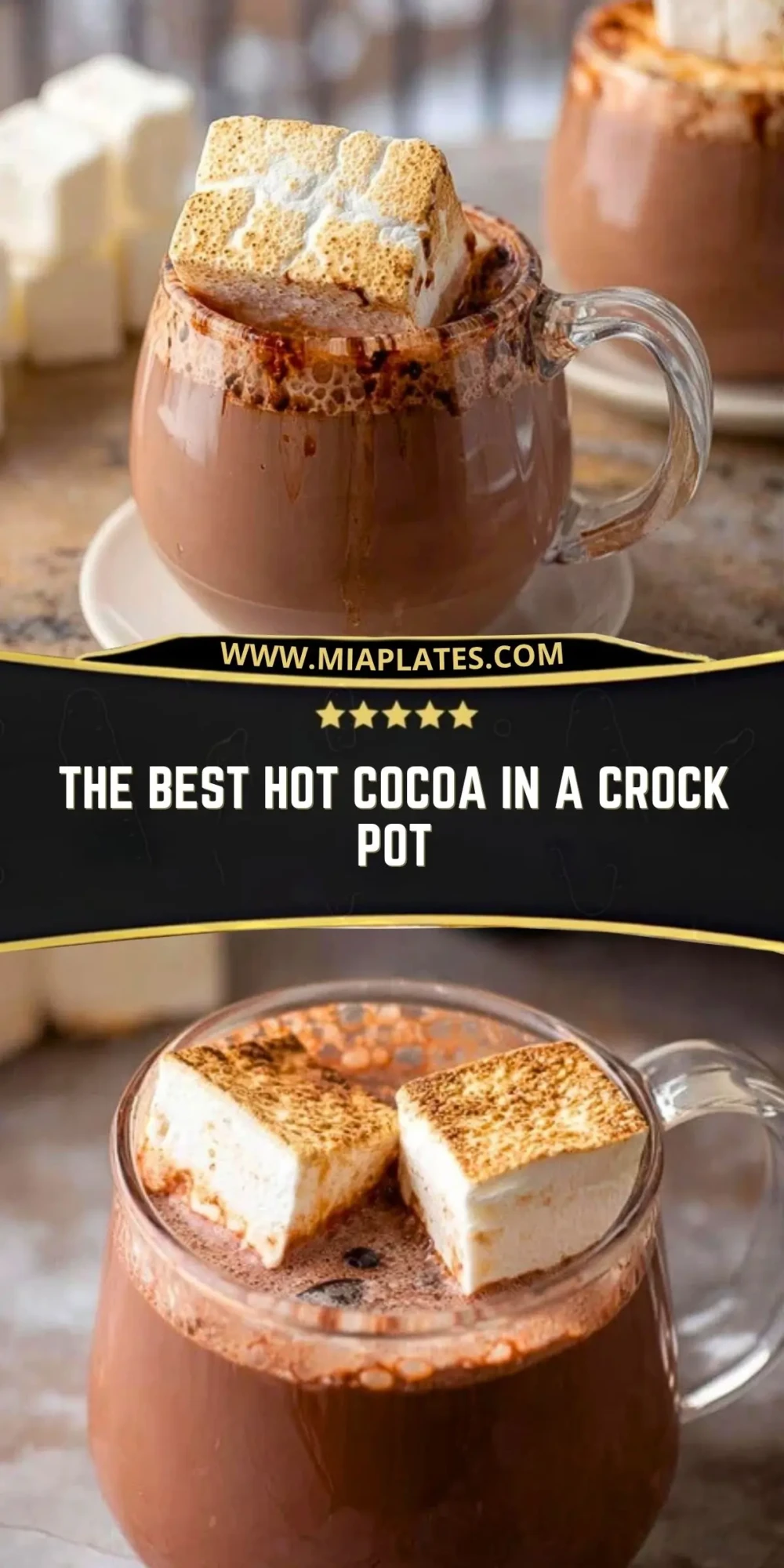 The Best Hot Cocoa in a Crock Pot (2)