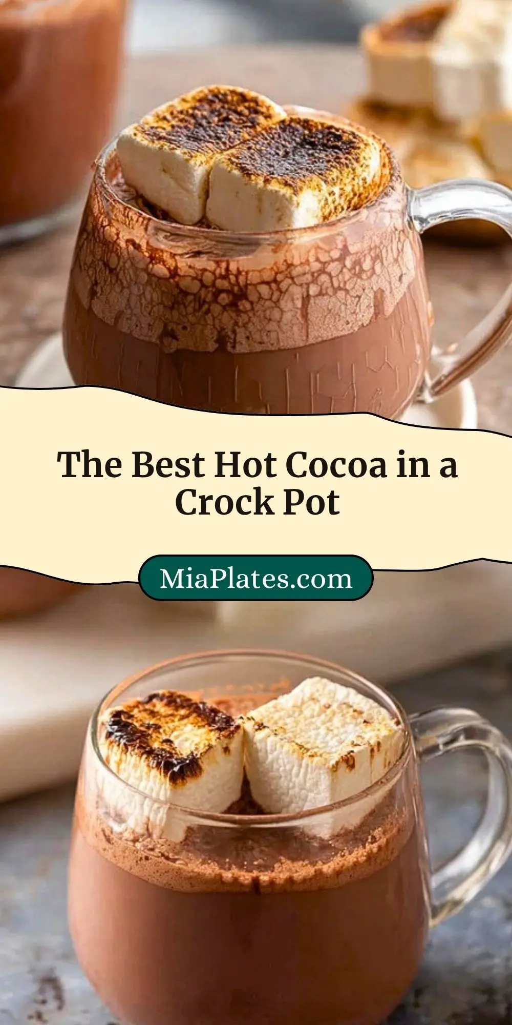 The Best Hot Cocoa in a Crock Pot (3)