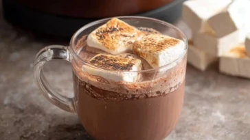 The Best Hot Cocoa in a Crock Pot