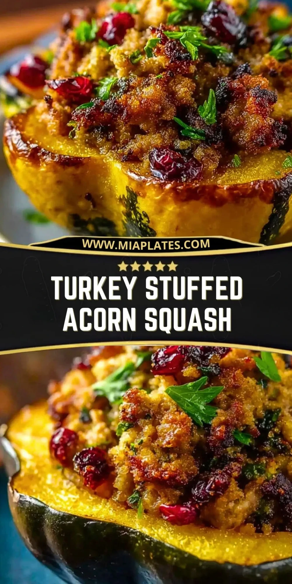 Turkey Stuffed Acorn Squash (2)