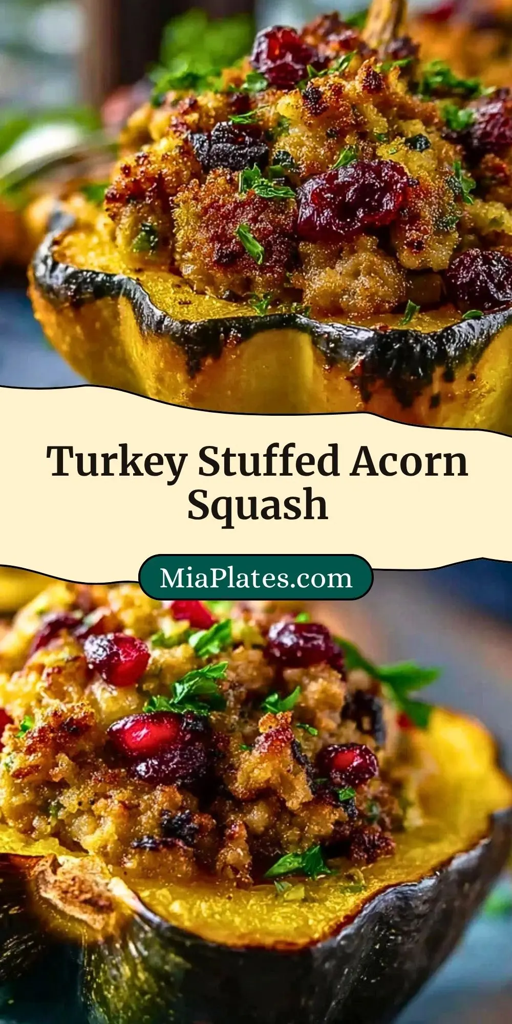 Turkey Stuffed Acorn Squash (3)