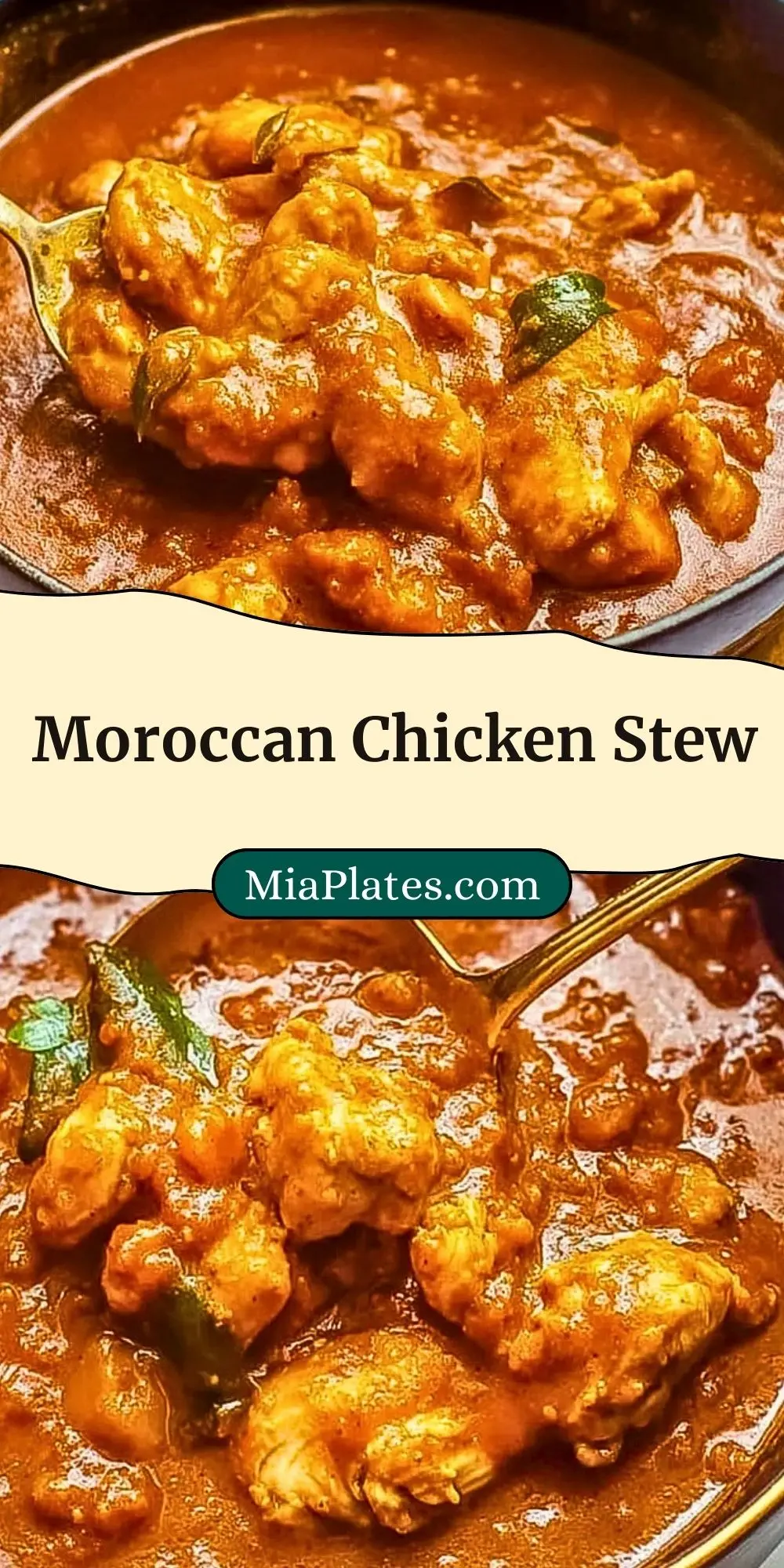 Moroccan Chicken Stew (3)