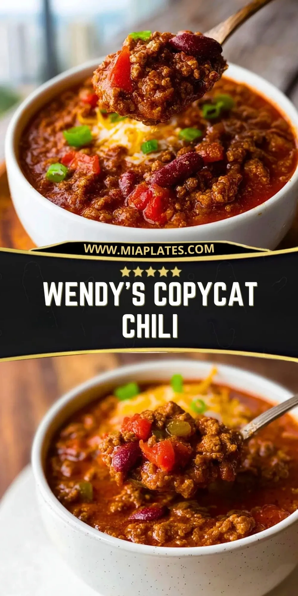 Wendy's Copycat Chili (3)